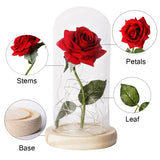 Beauty and the Beast Red Rose in Glass