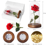 Beauty and the Beast Red Rose in Glass