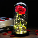 Beauty and the Beast Red Rose in Glass