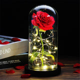 Beauty and the Beast Red Rose in Glass